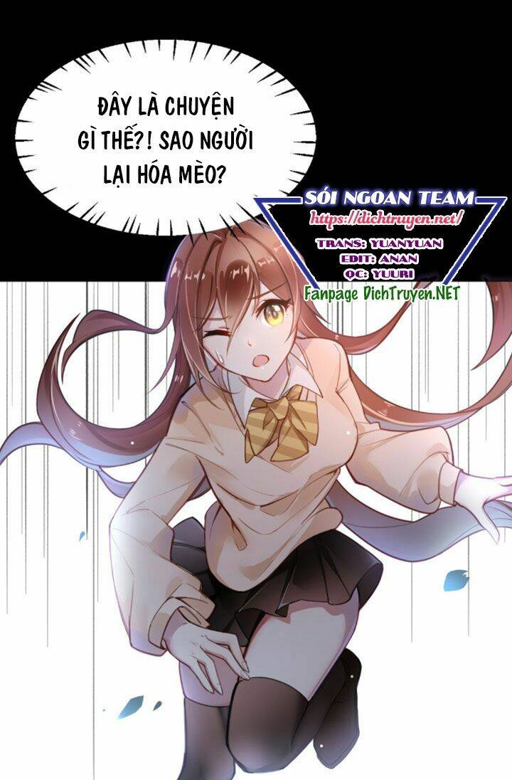 page_1.jpg