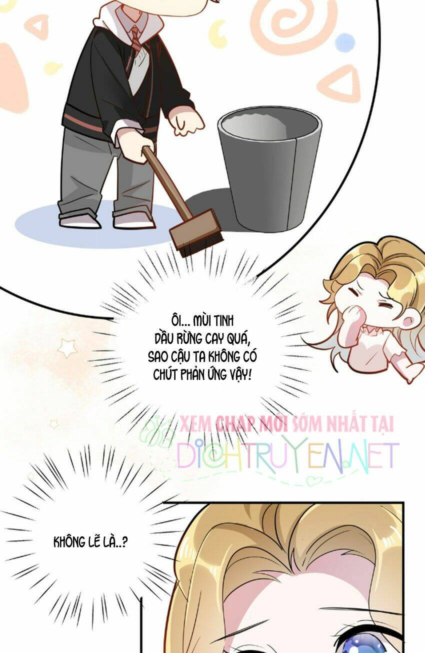 page_8.jpg