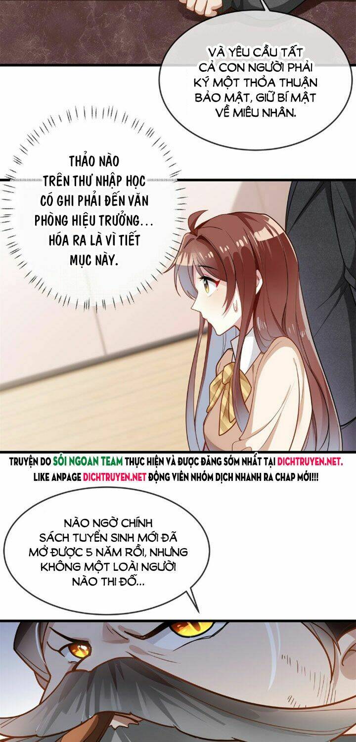 page_24.jpg
