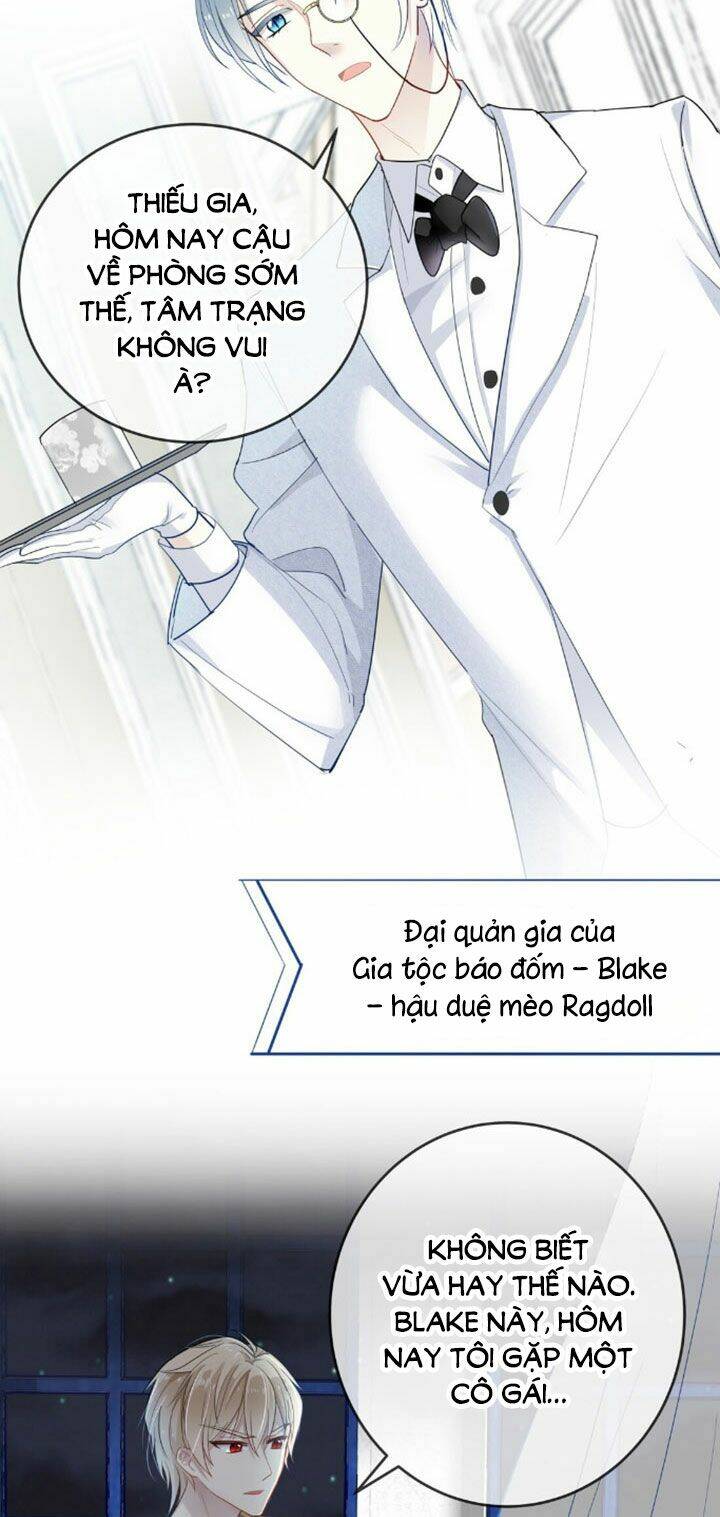page_13.jpg