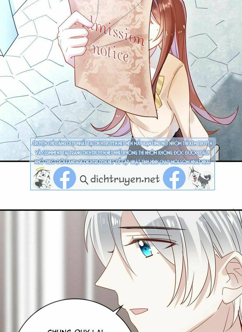 page_28.jpg