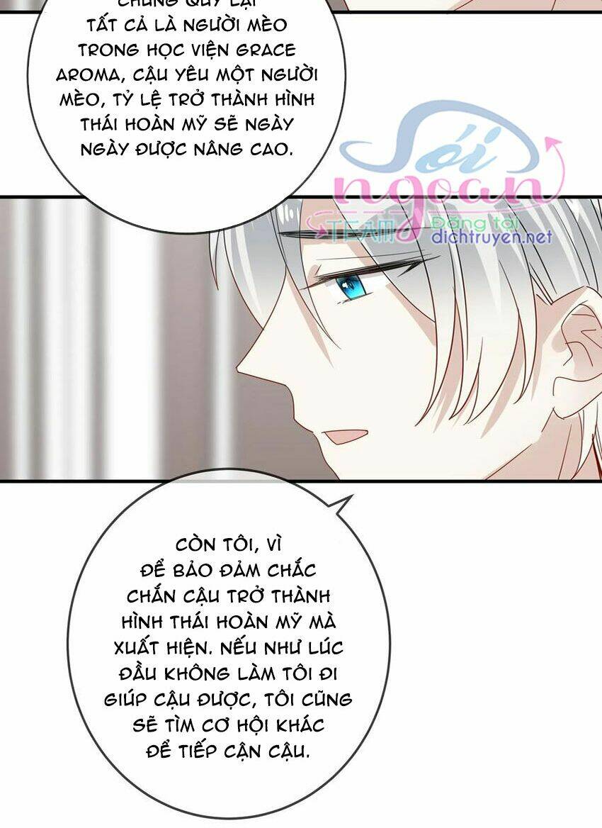 page_29.jpg