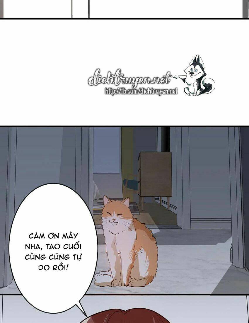 page_30.jpg