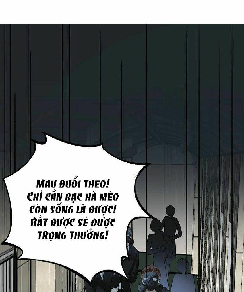 page_20.jpg