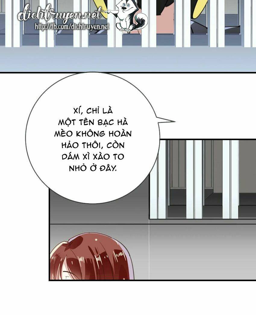 page_9.jpg