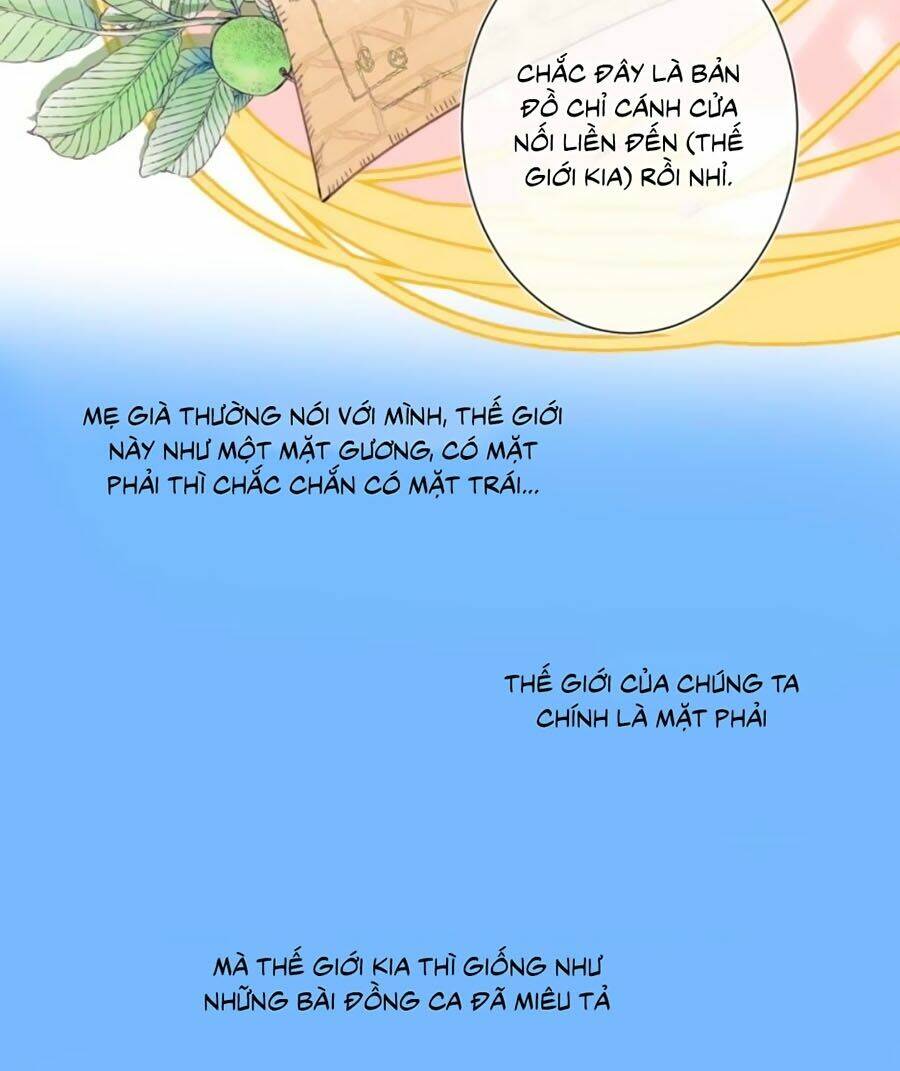 page_46.jpg