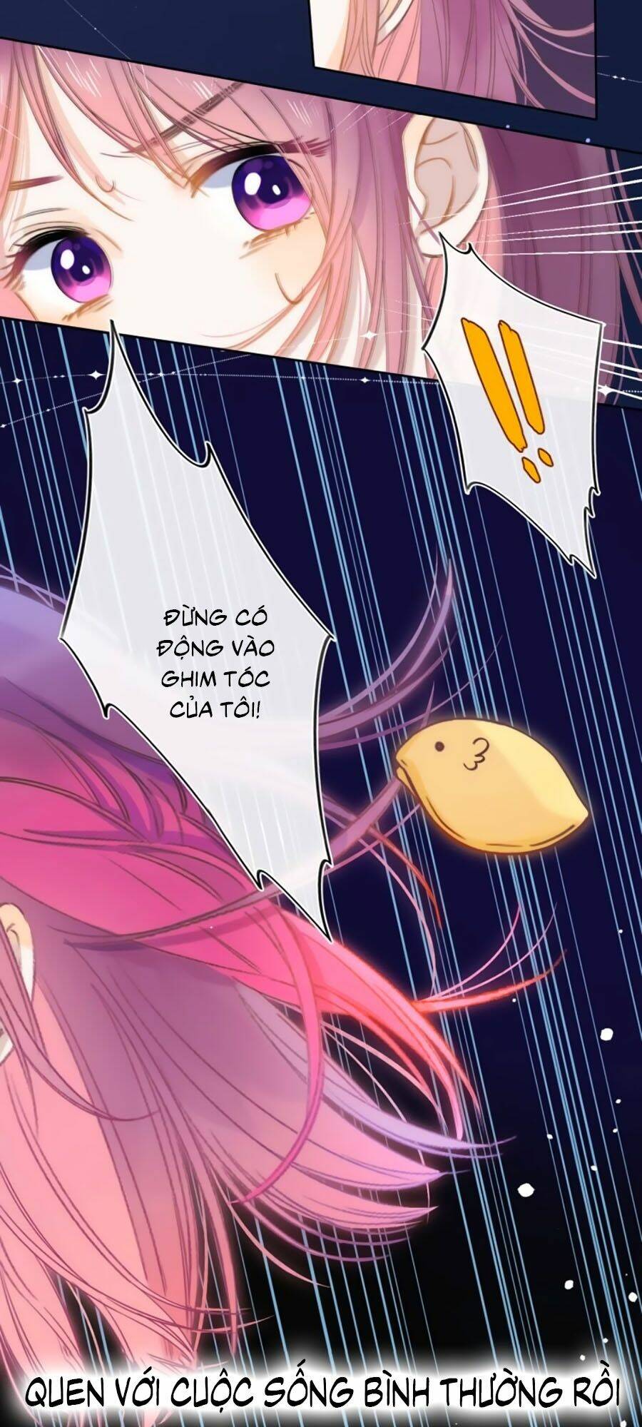 page_41.jpg