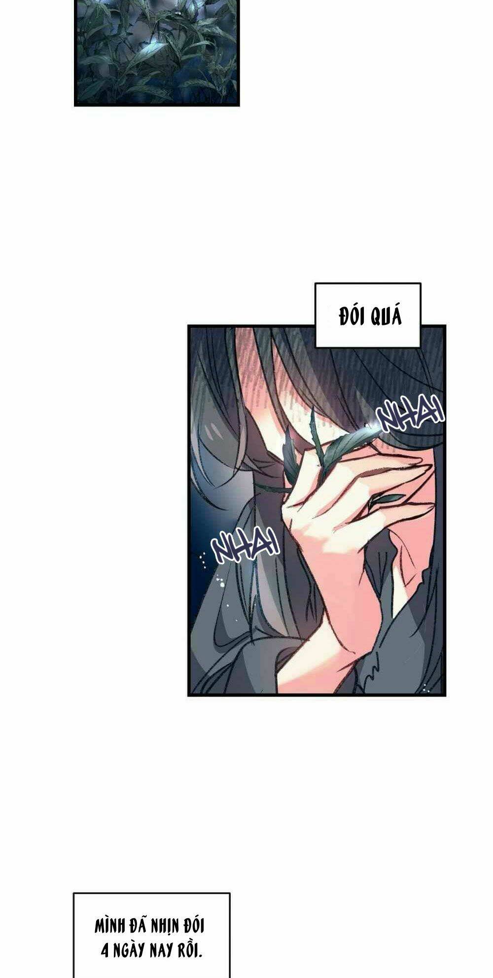 page_40.jpg