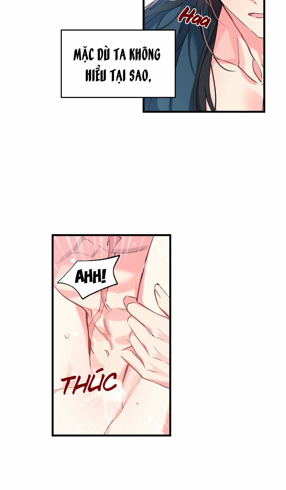 page_23.jpg