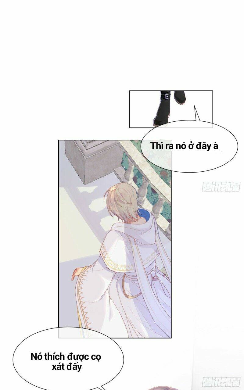page_11.jpg