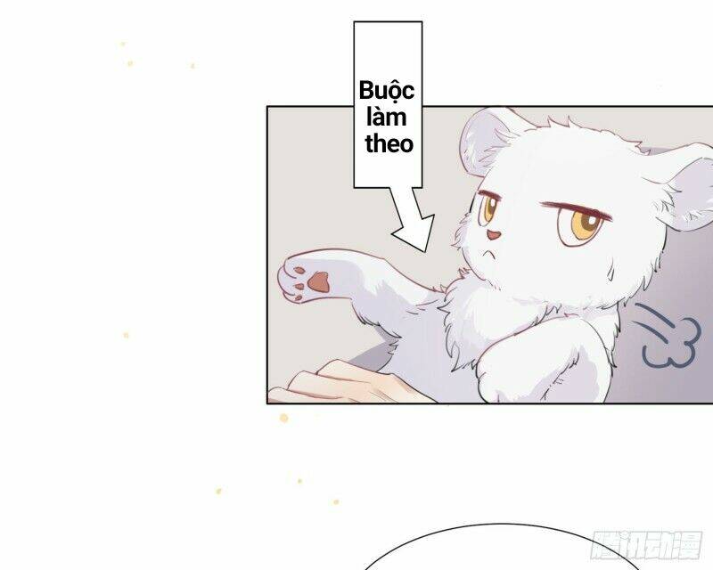 page_16.jpg