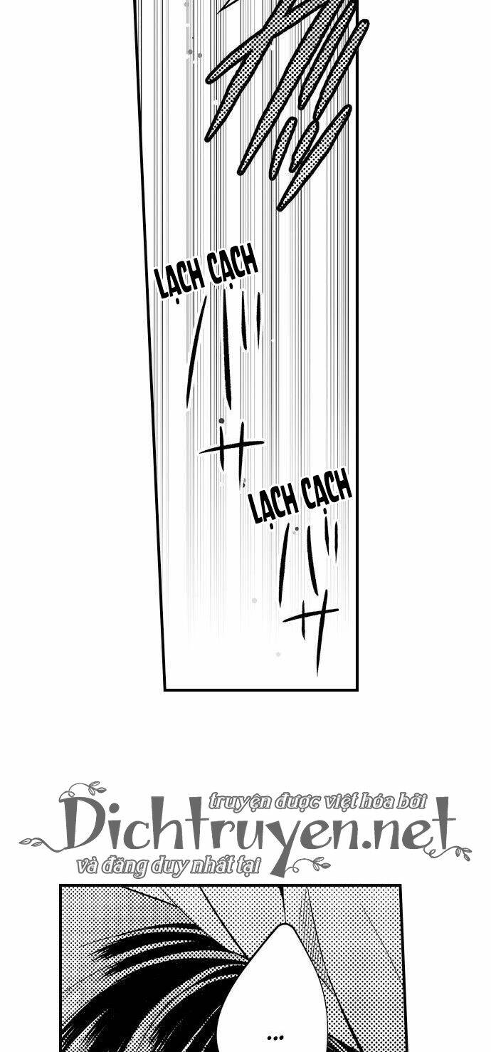 page_23.jpg
