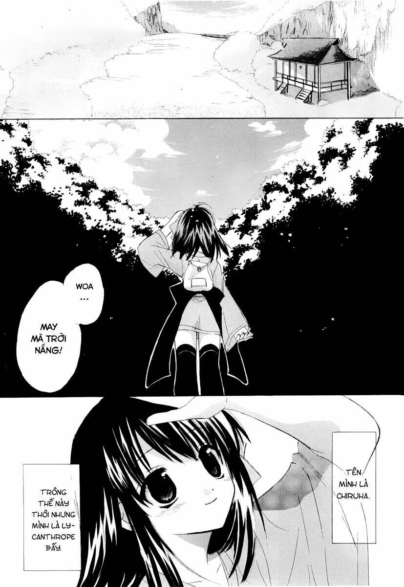 page_14.jpg
