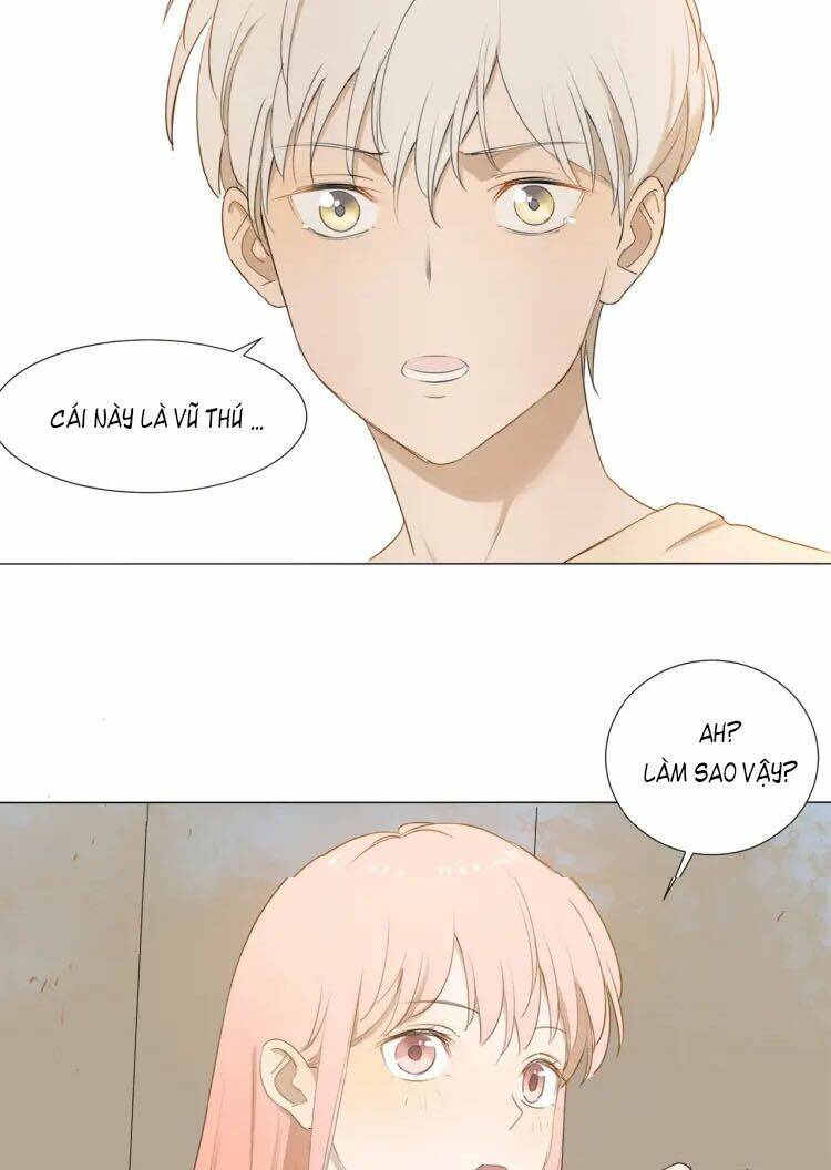 page_21.jpg