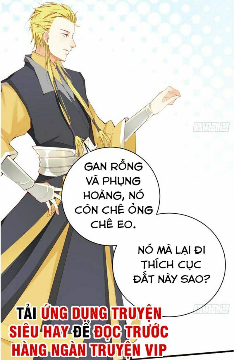 page_17.jpg