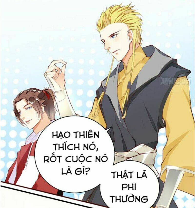 page_23.jpg