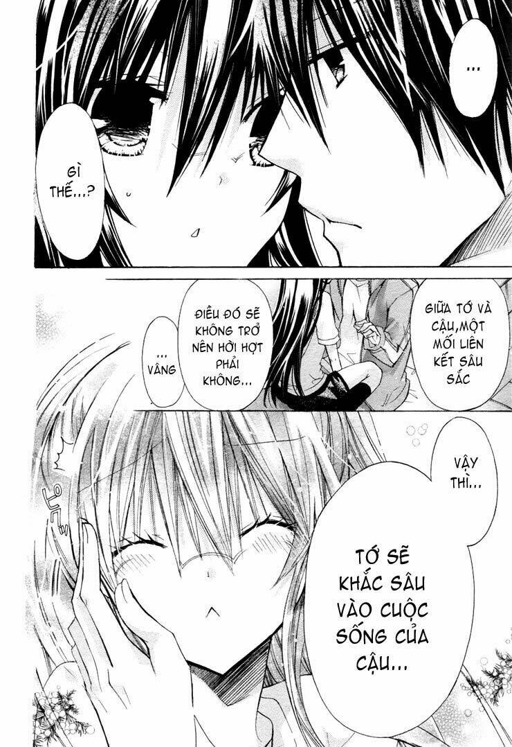 page_32.jpg