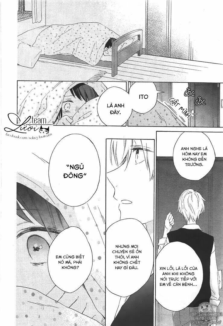 page_19.jpg