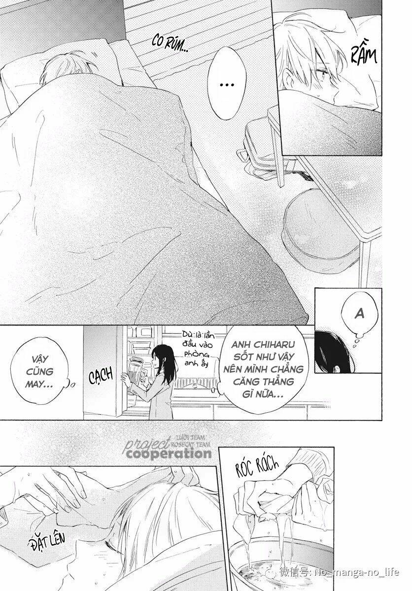 page_19.jpg