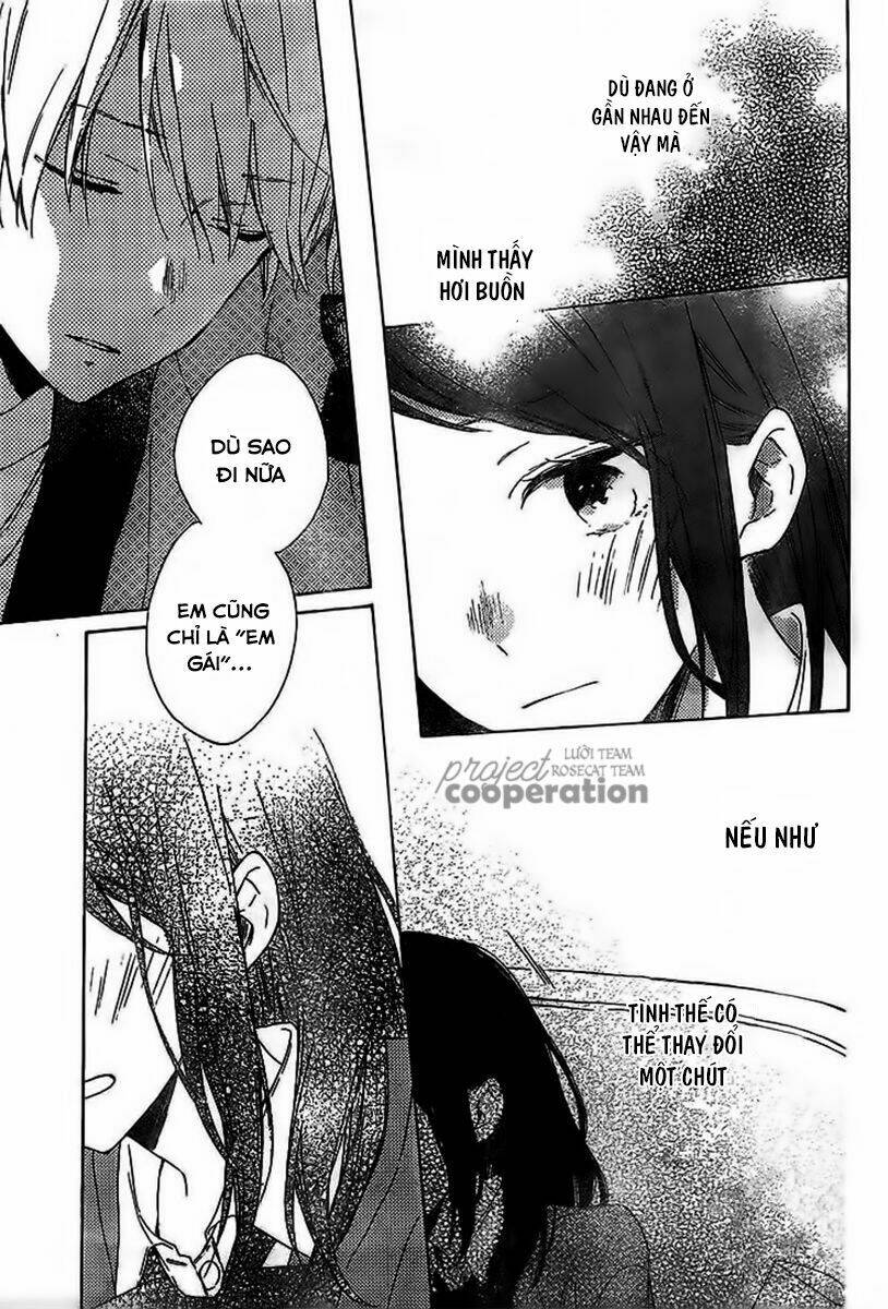 page_19.jpg