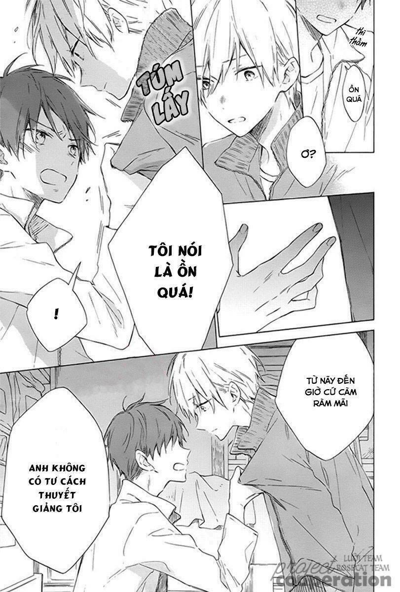 page_17.jpg