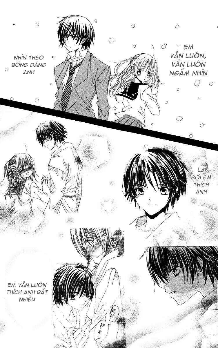 page_11.jpg