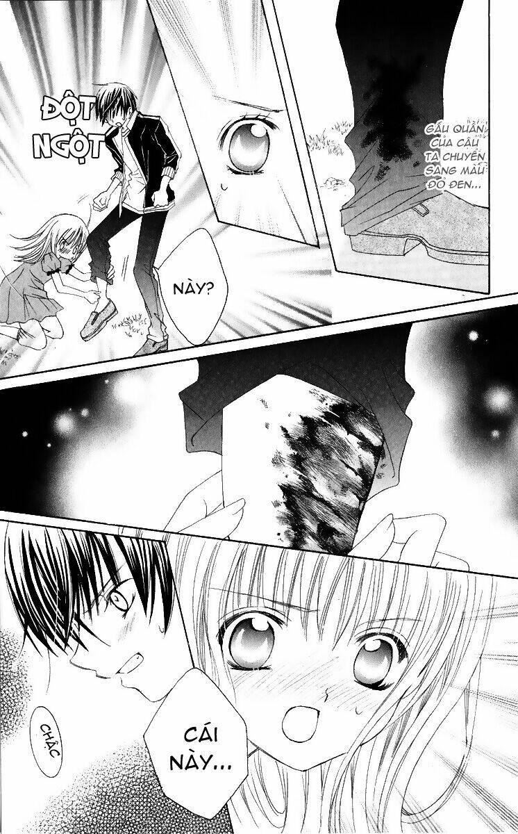 page_20.jpg