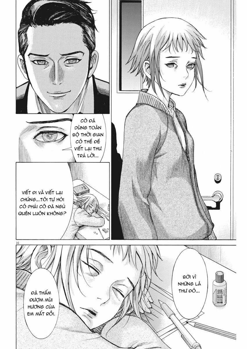 page_17.jpg