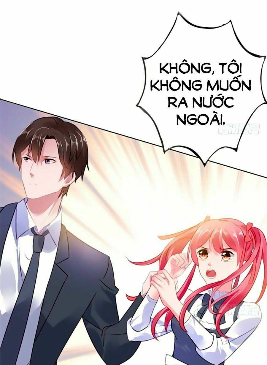 page_19.jpg