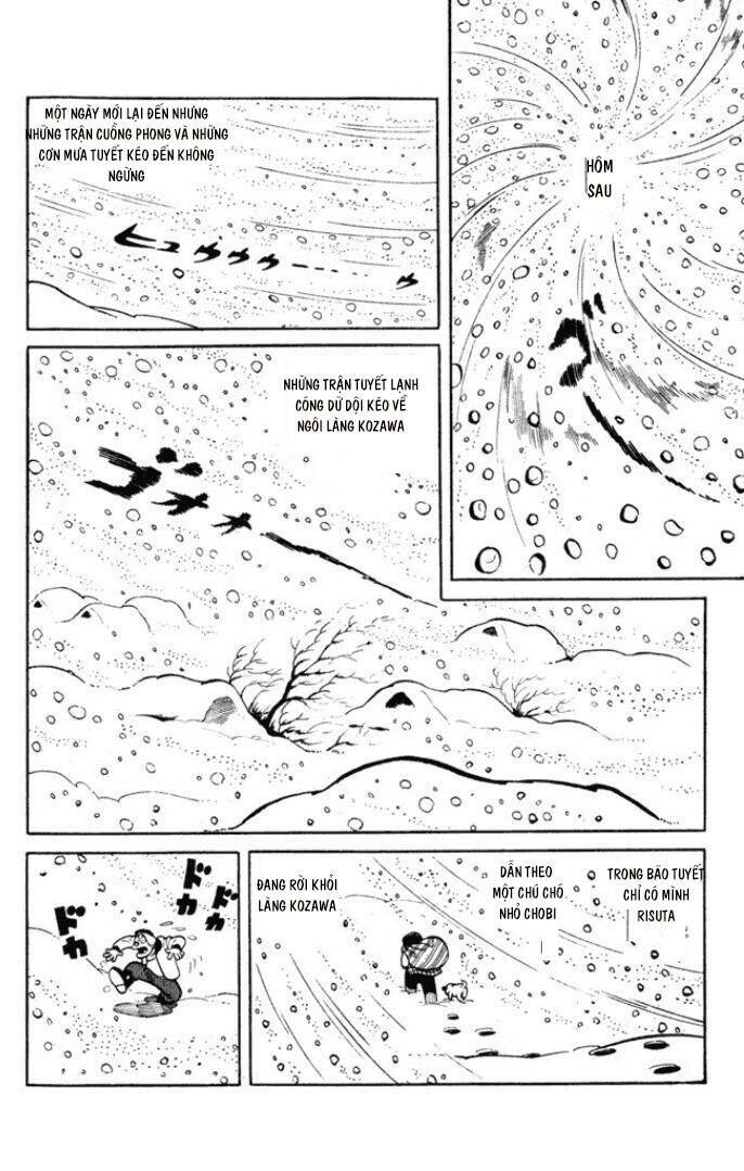 page_19.jpg