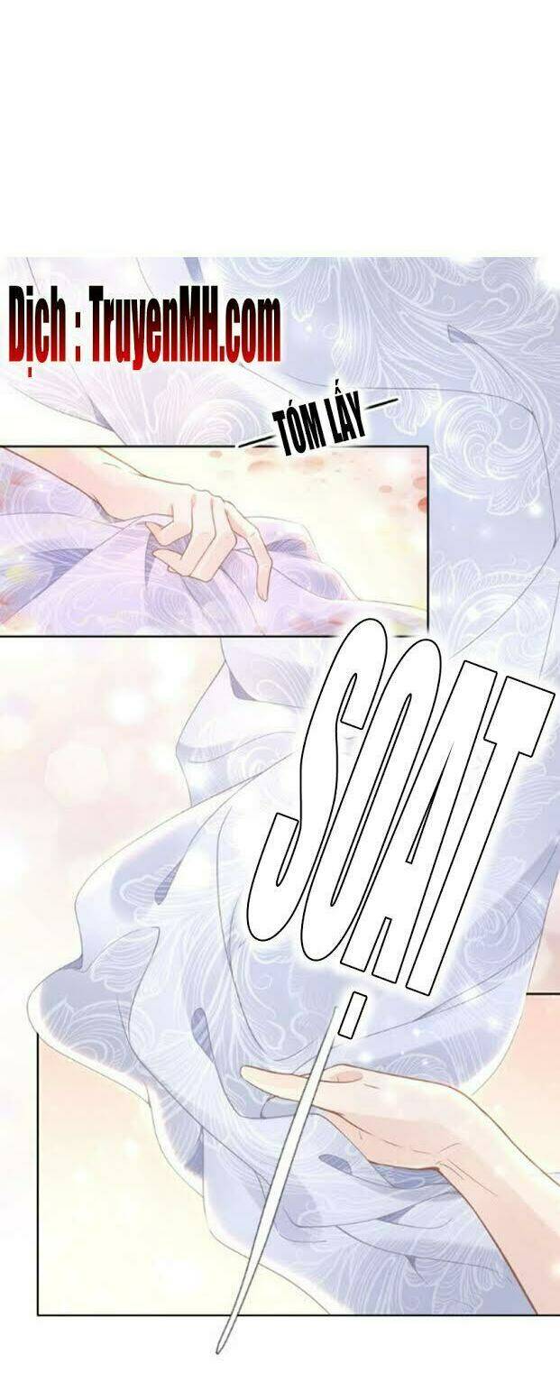 page_16.jpg
