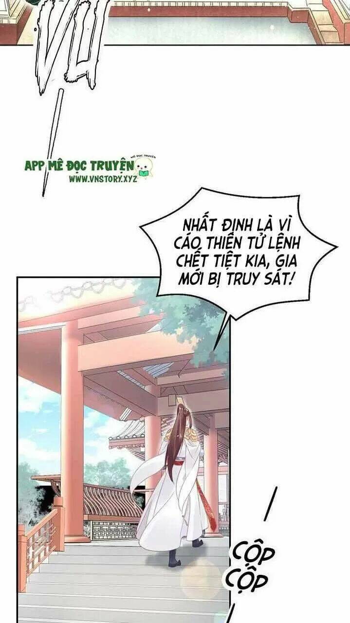 page_17.jpg