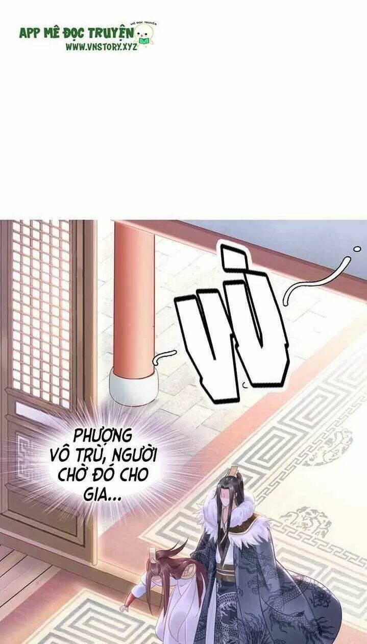 page_29.jpg