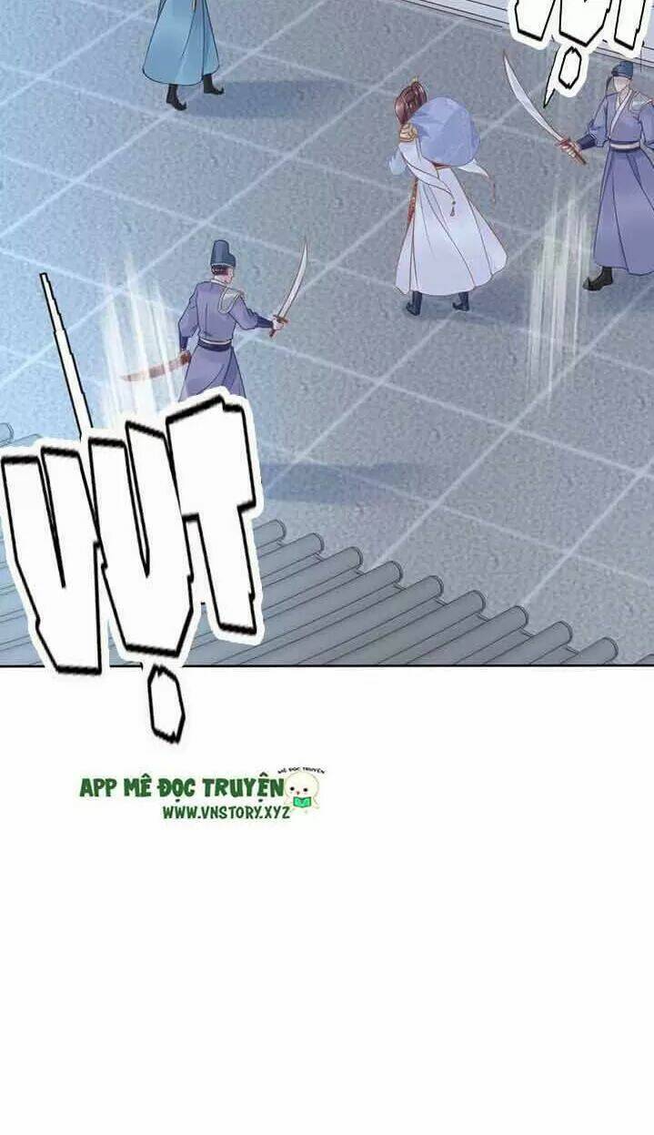 page_24.jpg