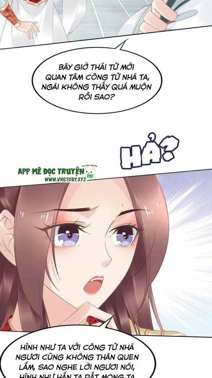 page_24.jpg