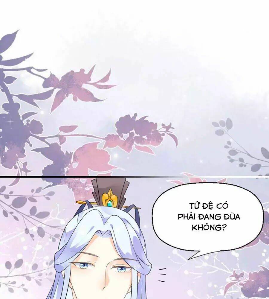 page_11.jpg