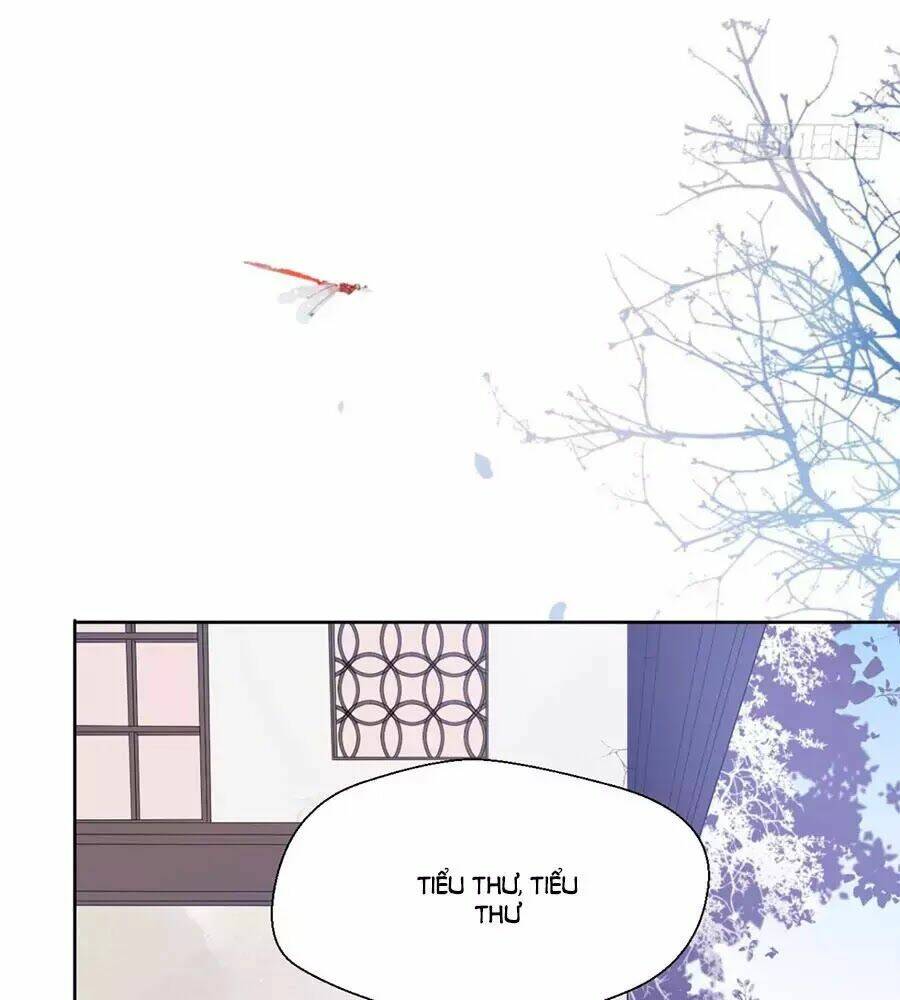 page_43.jpg