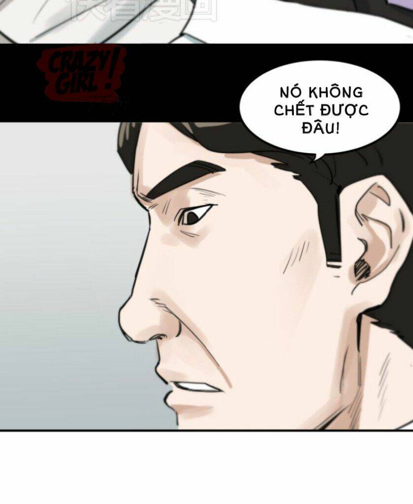 page_19.jpg