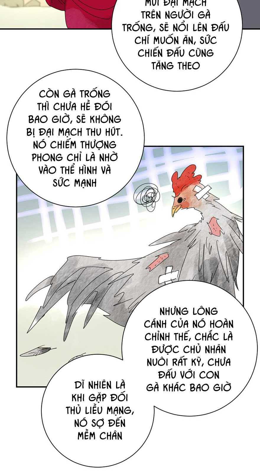 page_47.jpg