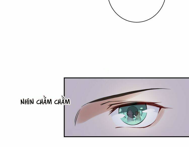page_19.jpg