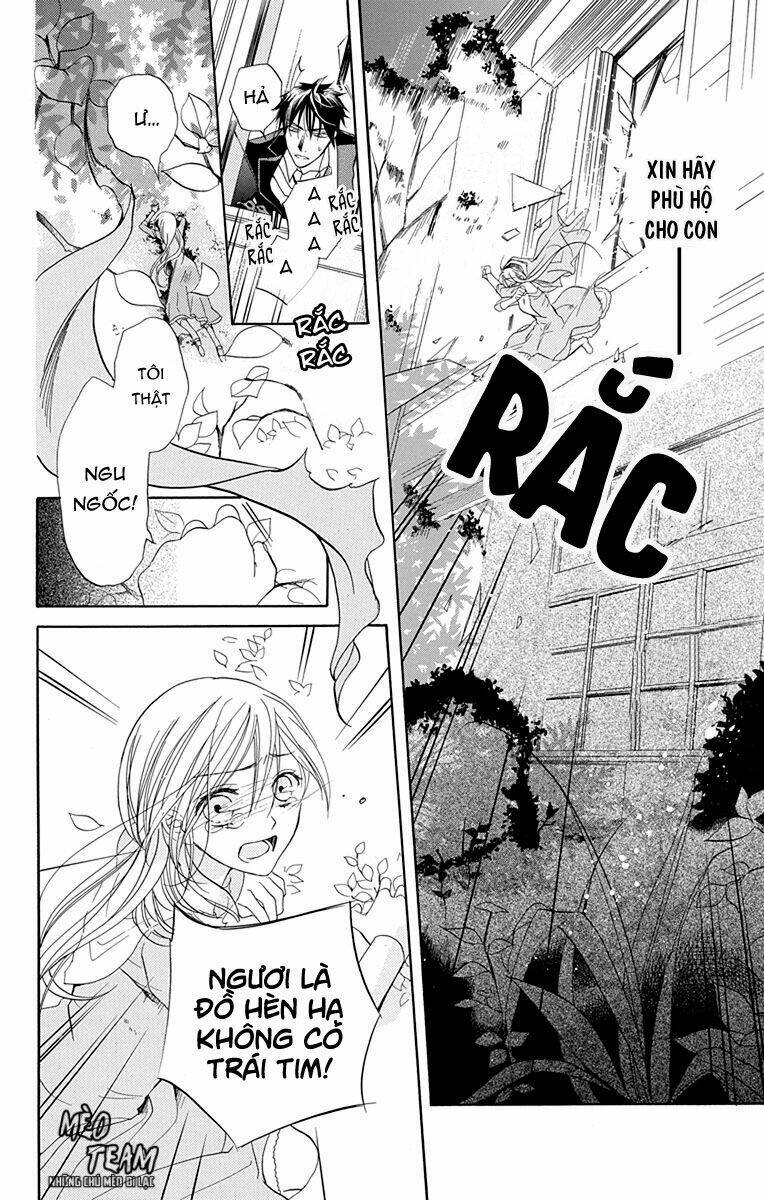 page_25.jpg