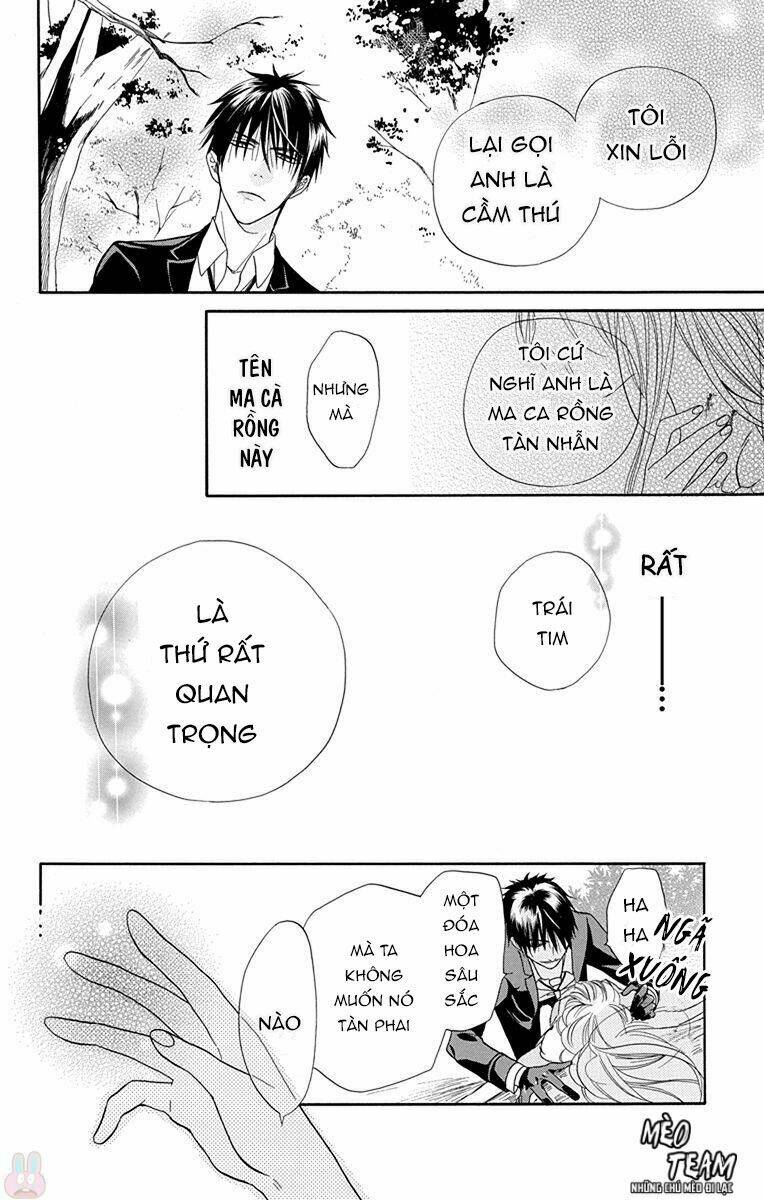 page_35.jpg