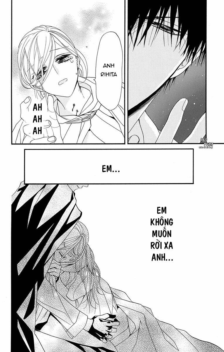 page_19.jpg