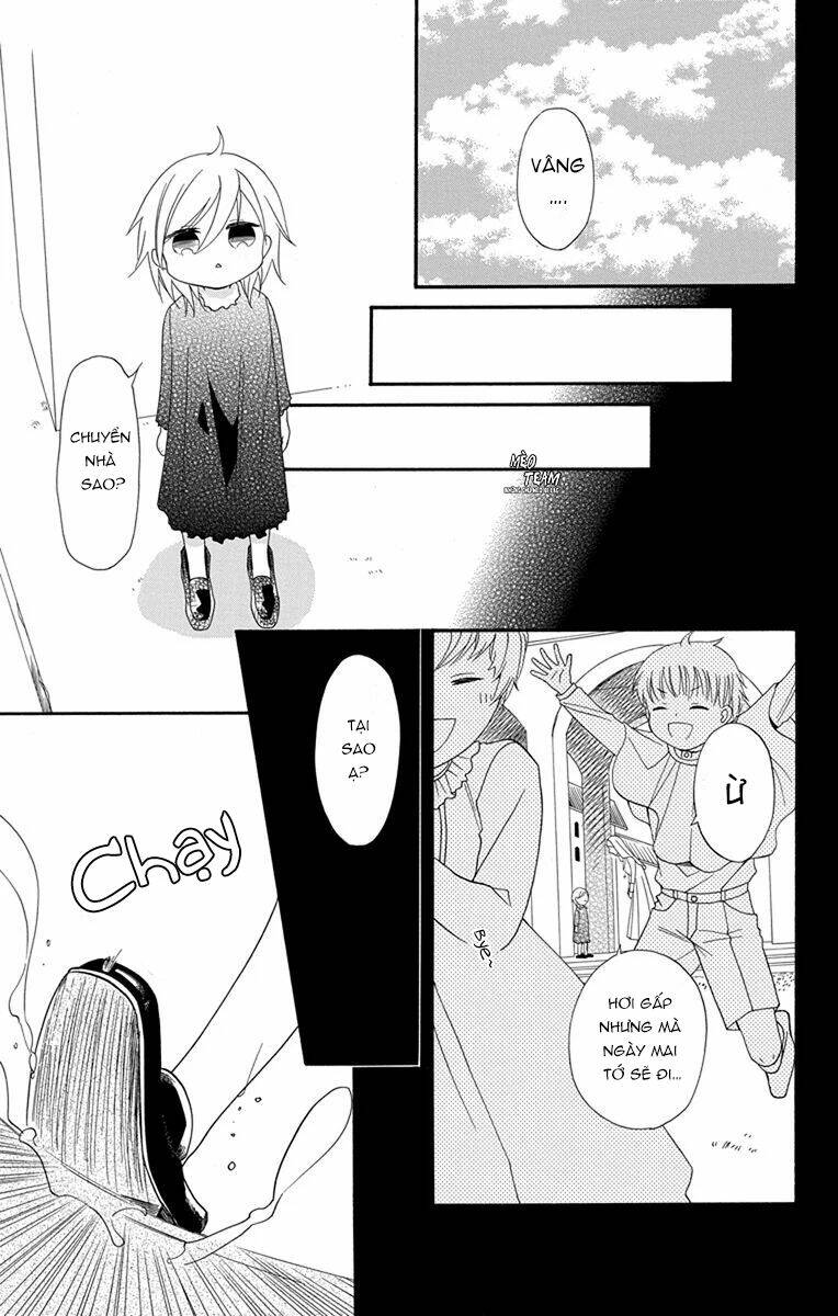 page_14.jpg
