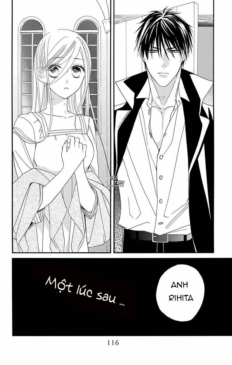 page_19.jpg