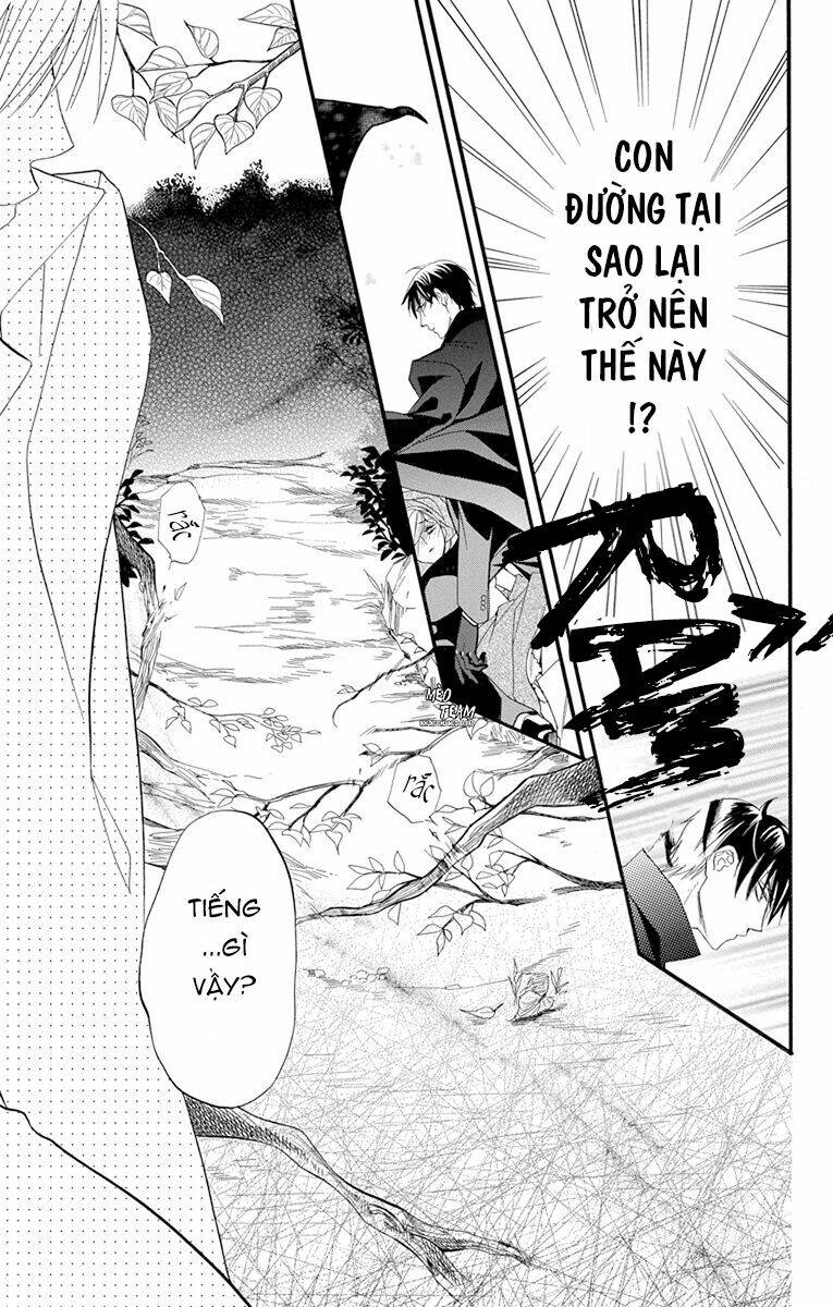 page_19.jpg