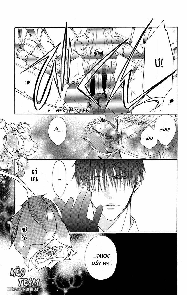 page_19.jpg
