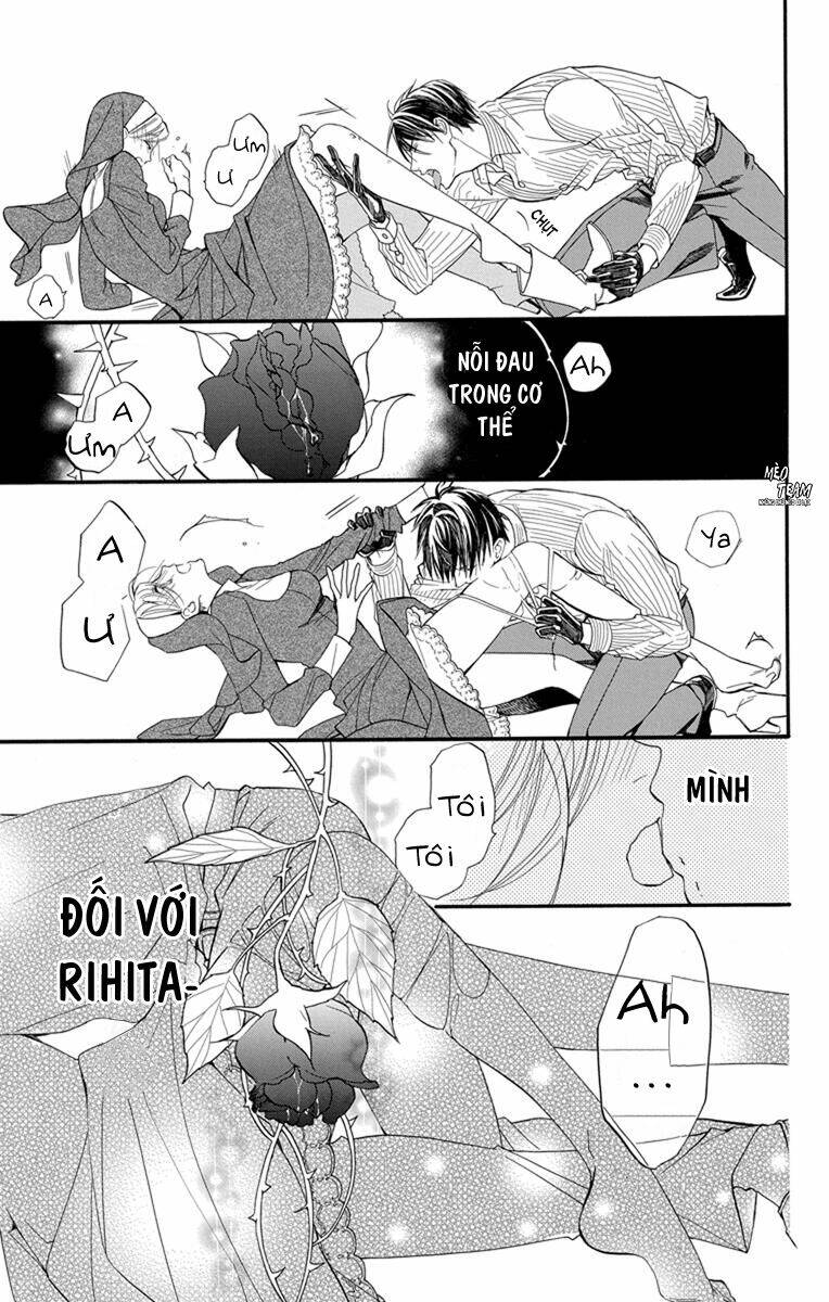 page_19.jpg