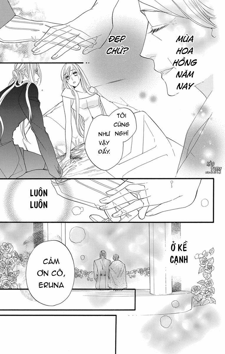 page_24.jpg