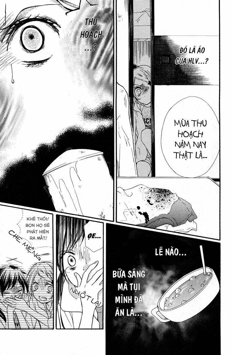 page_32.jpg